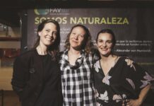 Diversos lenguajes artísticos y reflexiones se despliegan en la segunda edición de FAVsur