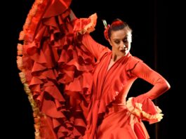 Tras ovación en España, Pedro Fernández trae espectáculo de zarzuela y flamenco